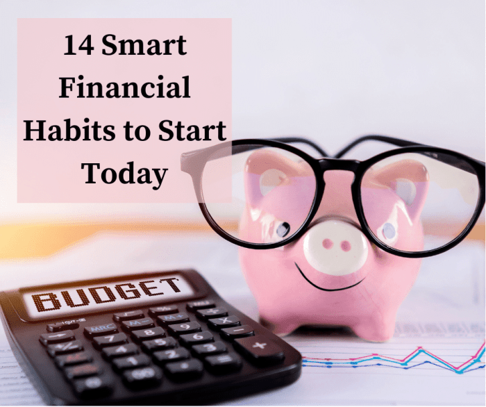 Financial Habits | 14 Smart Financial Habits to Start Today Financial Habits | 14 Smart Financial Habits to Start Today