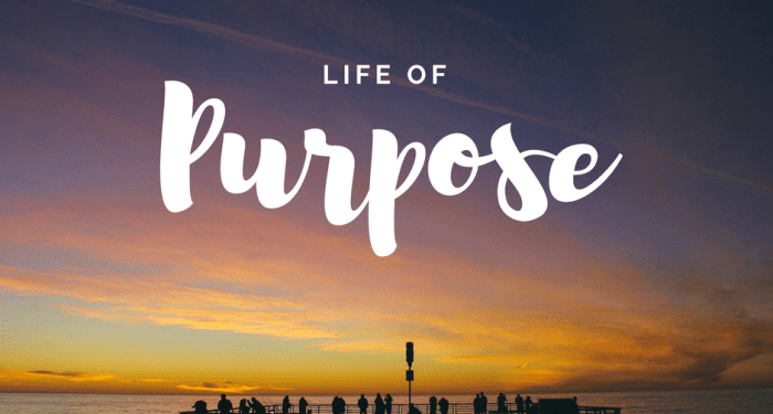 Living a purpose driven life: Why are you here? – C.Hub Magazine