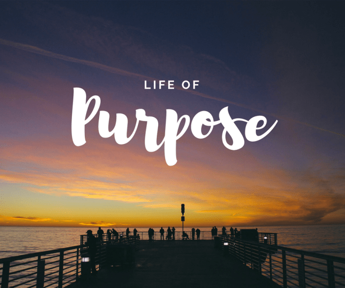 Living a purpose driven life: Why are you here? – C.Hub Magazine Living a purpose driven life: Why are you here? – C.Hub Magazine